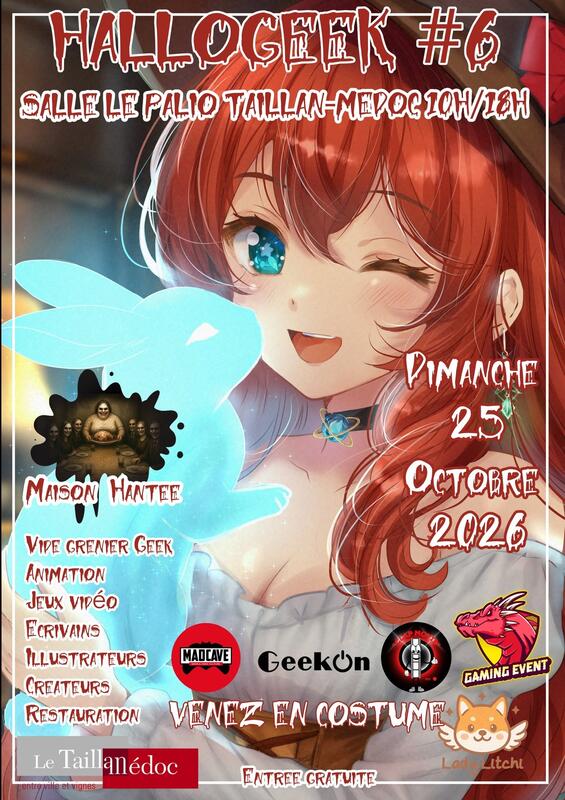 Vide grenier hallogeek