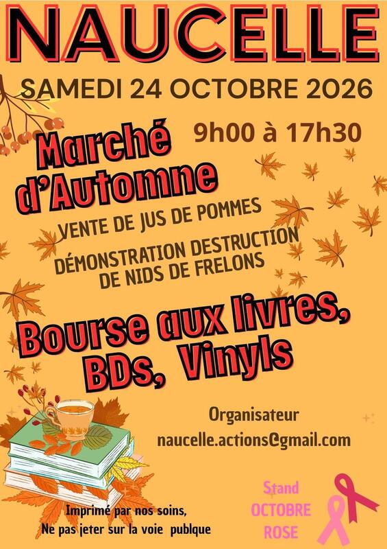 Bourse aux livres, bd et vinyles