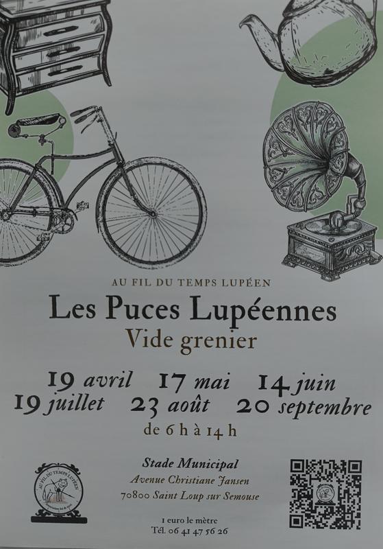 Les puces lupéennes