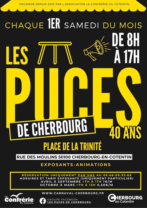 Les puces de cherbourg