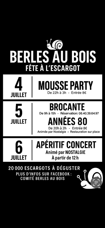 Vide-Grenier