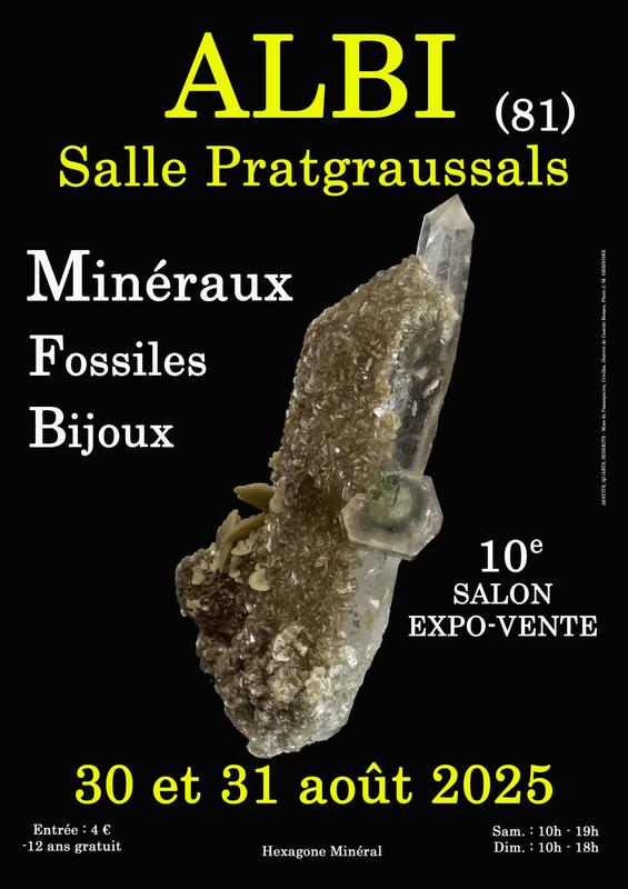 10e salon mineraux fossiles bijoux d'albi