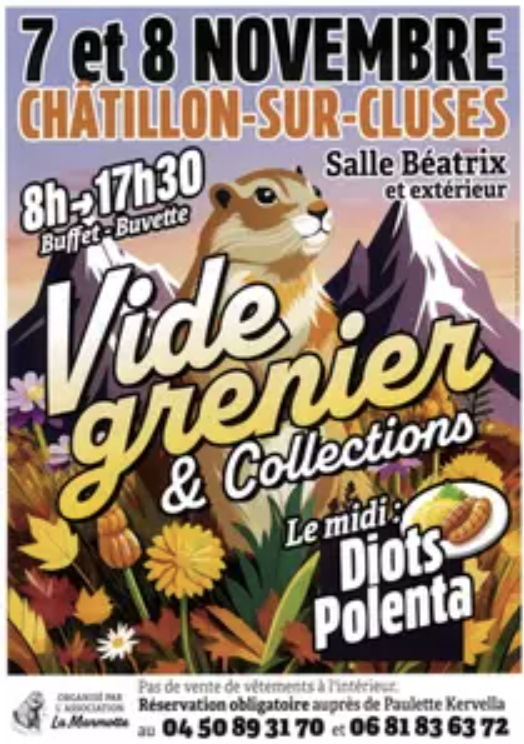 Vide greniers et collections