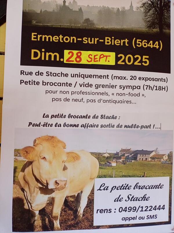 La petite brocante de stache