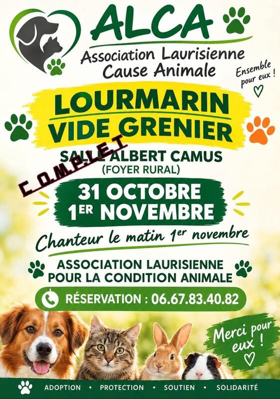 Vide grenier