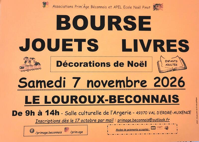 Bourse aux jouets - livres - décos de noël