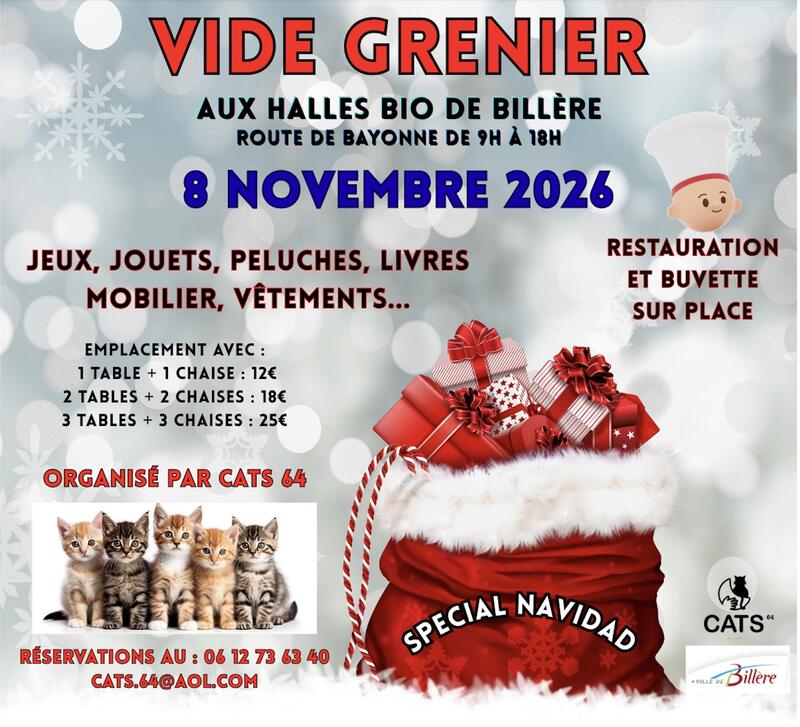 Vide grenier de navidad