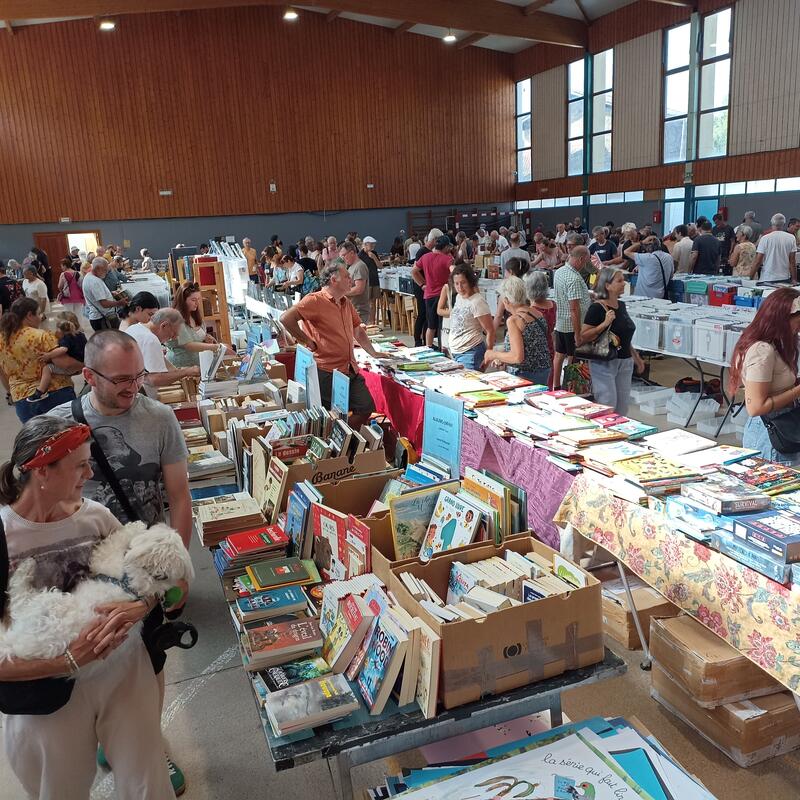 Foire aux livres et vinyles, brocante et collections