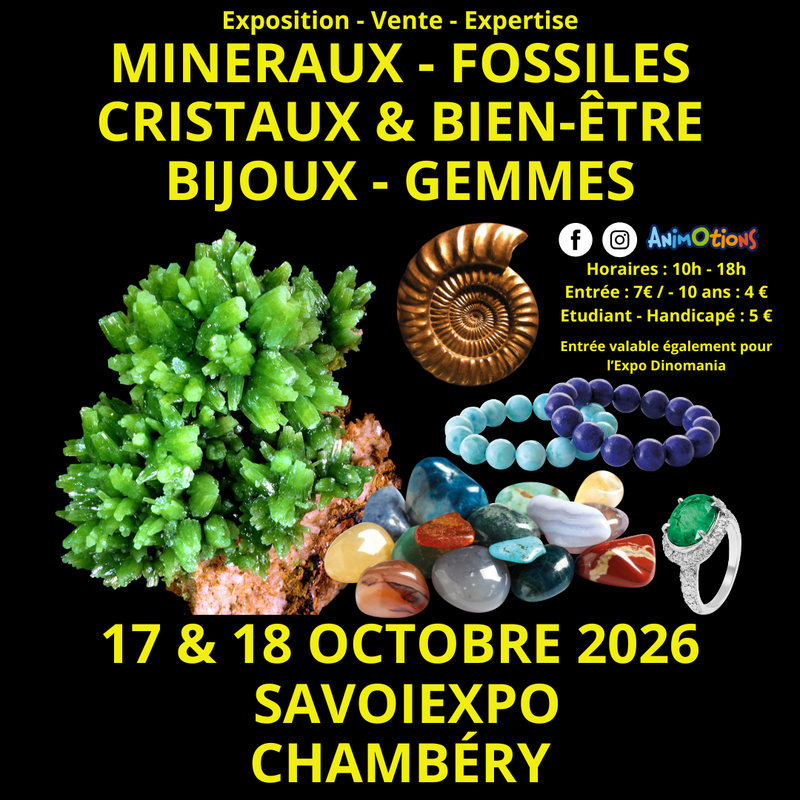 7ème salon minéraux fossiles - exposition dinomania