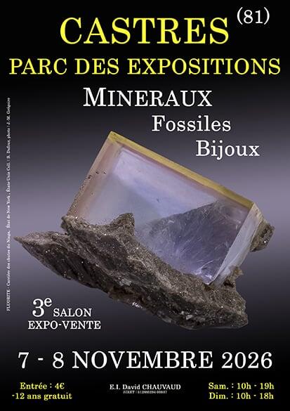 3e saon mineraux fossiles bijoux de castres (tarn)