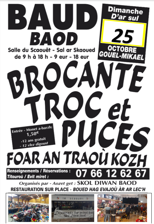 Troc et puce diwan baud
