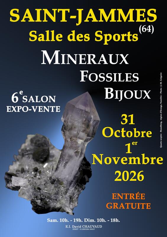 6ème salon minéraux, fossiles et bijoux