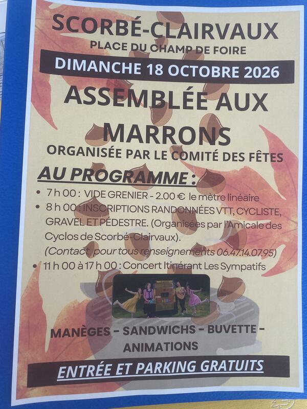 Vide-grenier