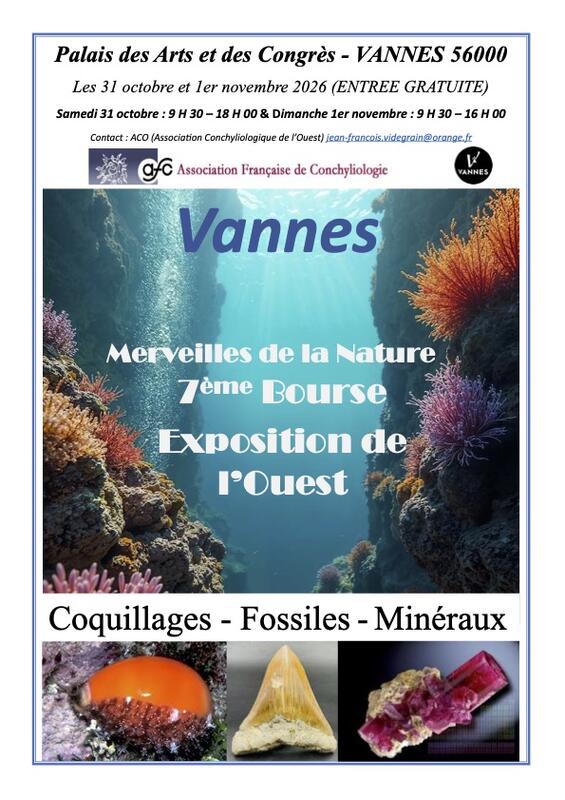 7ème bourse - exposition de l'ouest : coquillages, minéraux et fossiles