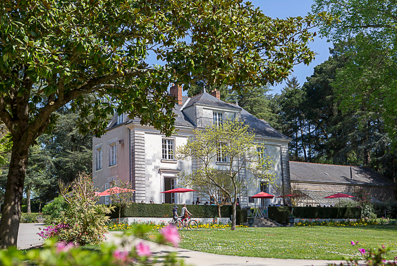 Vide grenier au manoir de procé