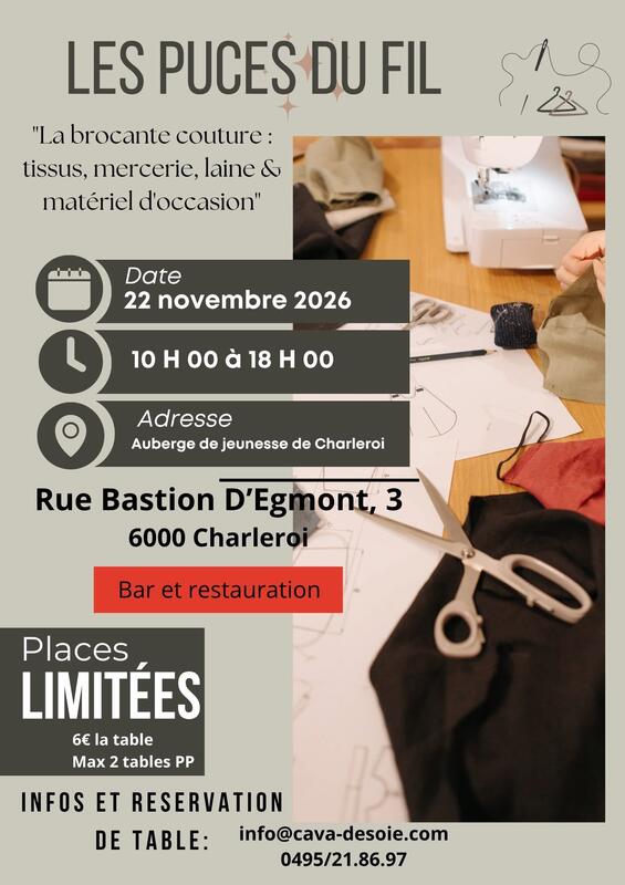 Les puces du fil
