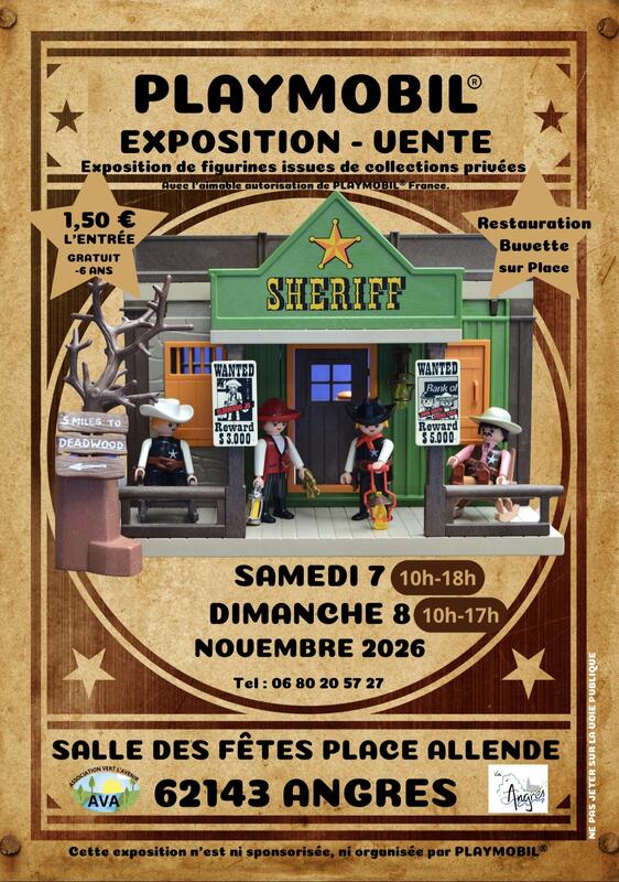 Exposition et vente playmobil