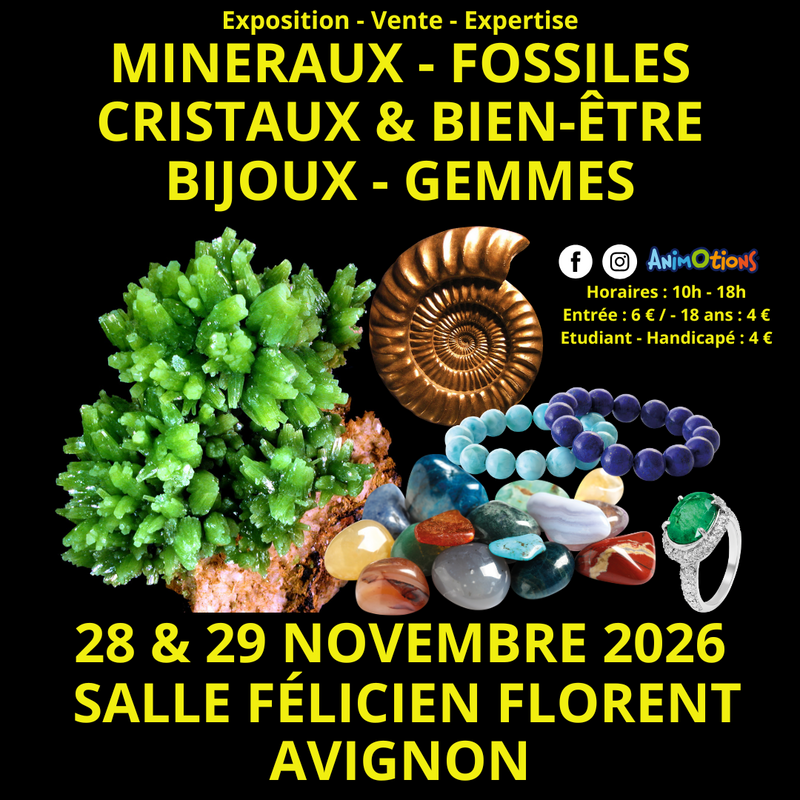 Salon minéraux fossiles cristaux - bien-être gemmes - bijoux
