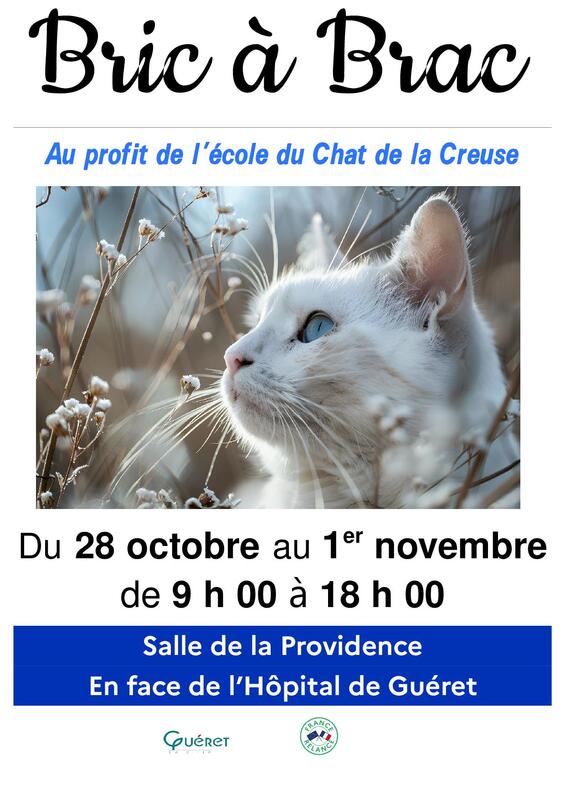 Bric a brac de l'ecole du chat de la creuse
