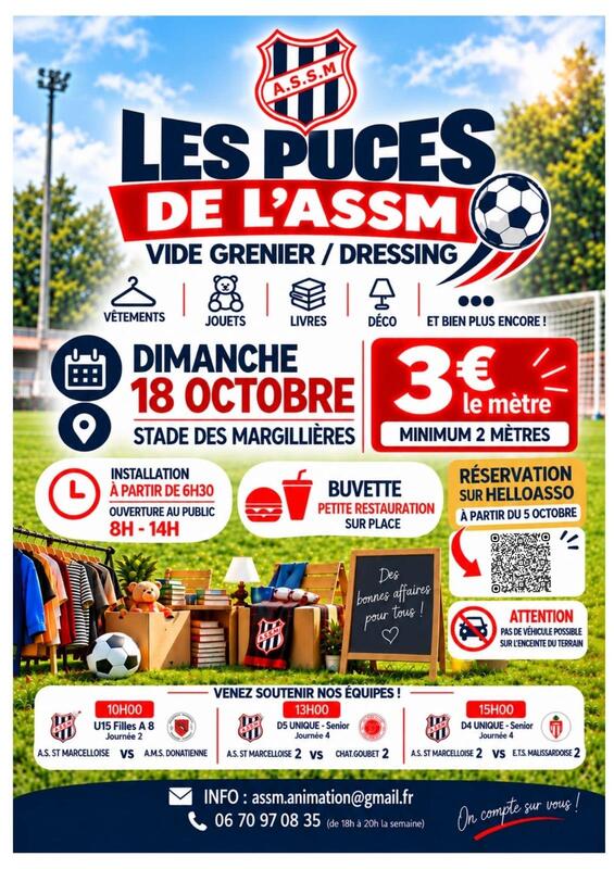 Les puces de l'assm