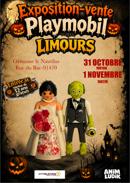 Exposition vente de playmobil