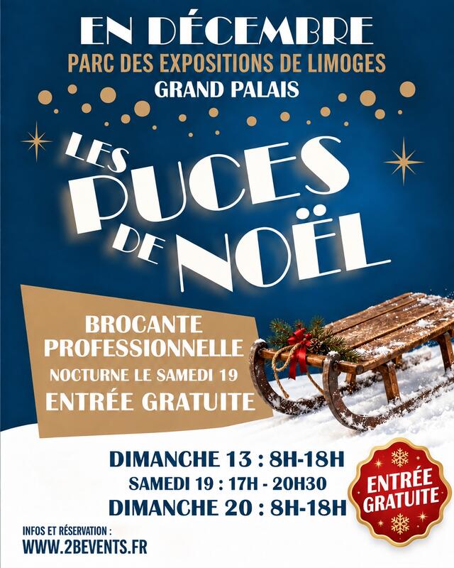Les puces de noël