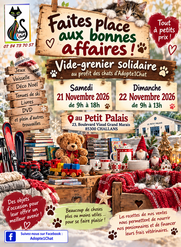 Vide grenier