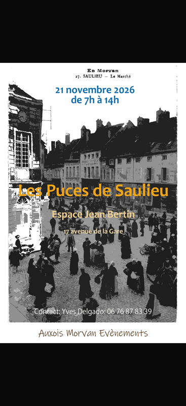 Les puces de saulieu