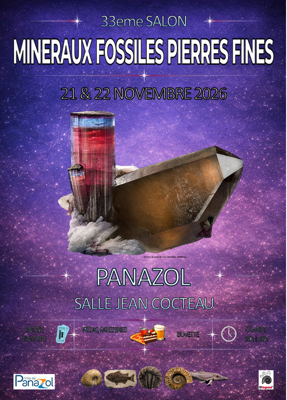 33 ème salon des minéraux, fossiles et pierres fines