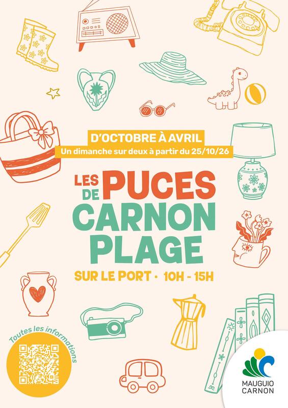 Les puces de carnon plage