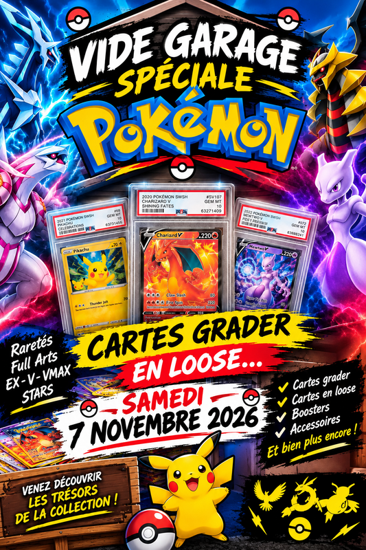 Vide garage spécial pokemon