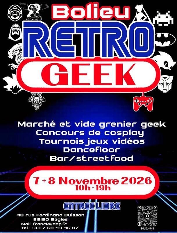 Vide grenier geek