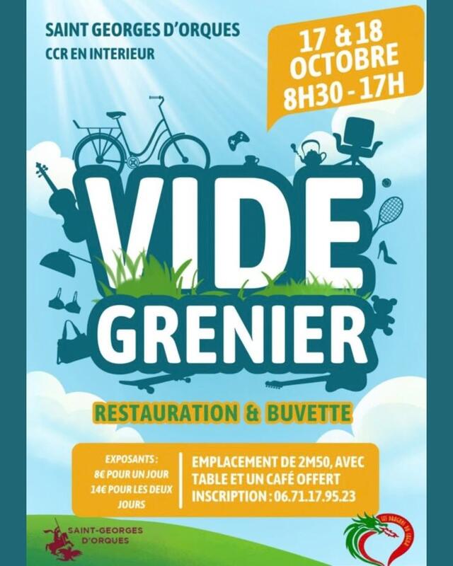 Vide grenier des dragons du coeur